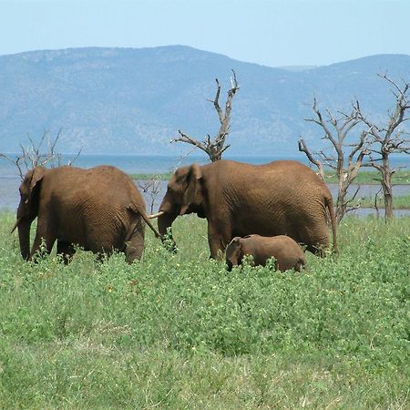 White Elephant Safari Lodge Pongola Eksteriør billede